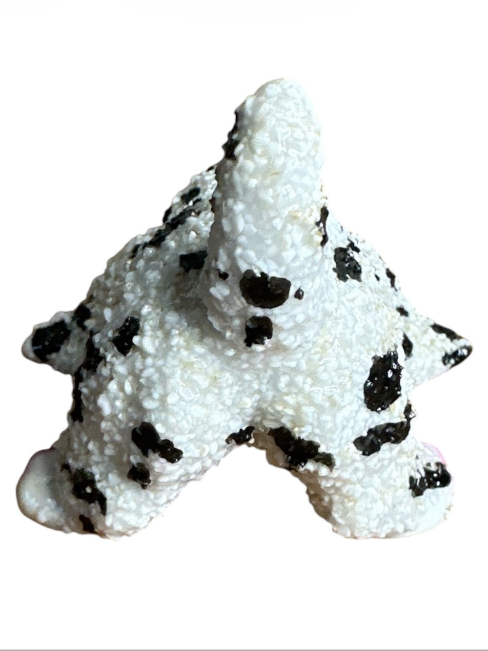 Vintage sugar coated porcelain glazed spotted dog butterfly on nose figurine - Picture 3 of 7